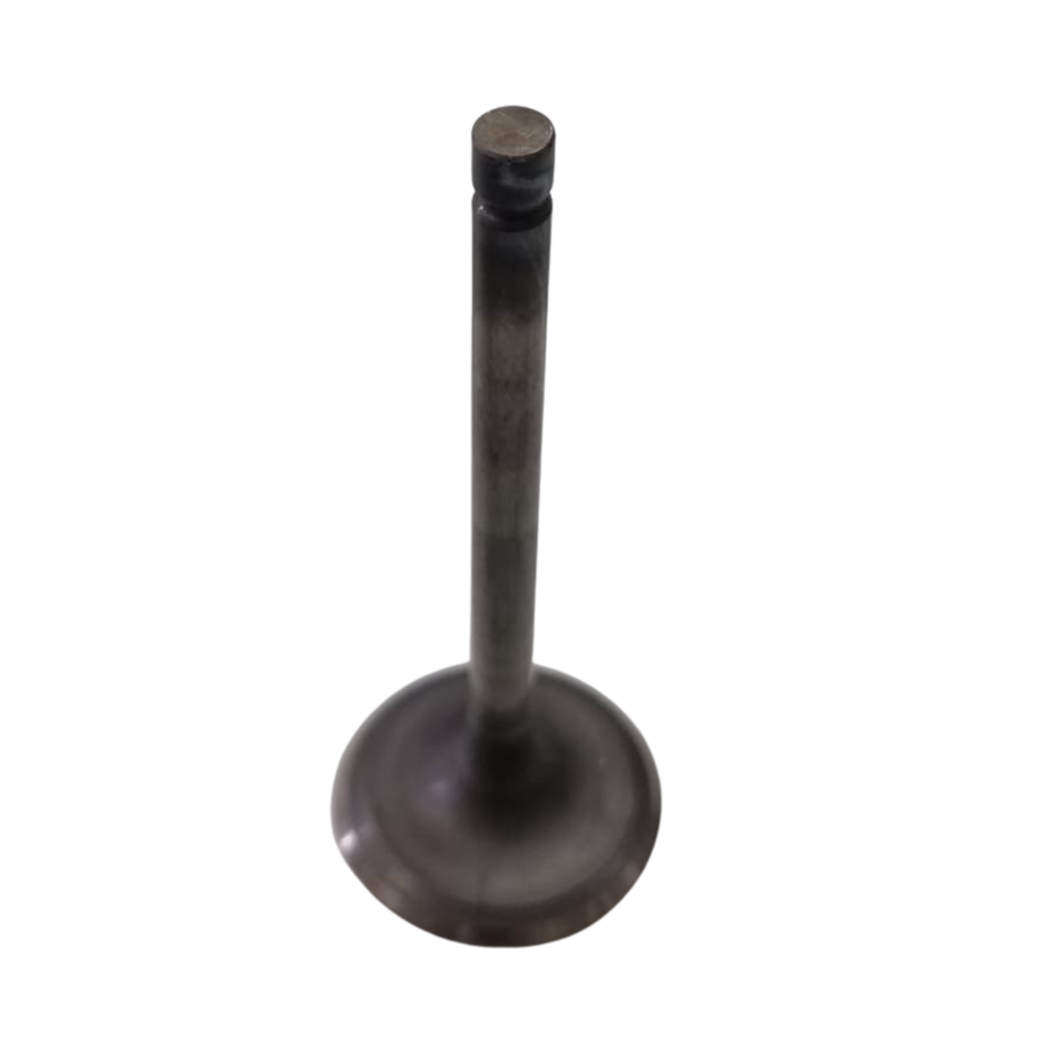 Nissan 13201-6P300 Engine Intake Valve